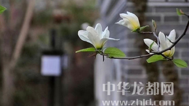 淮陽蓮舍，多了一份味道