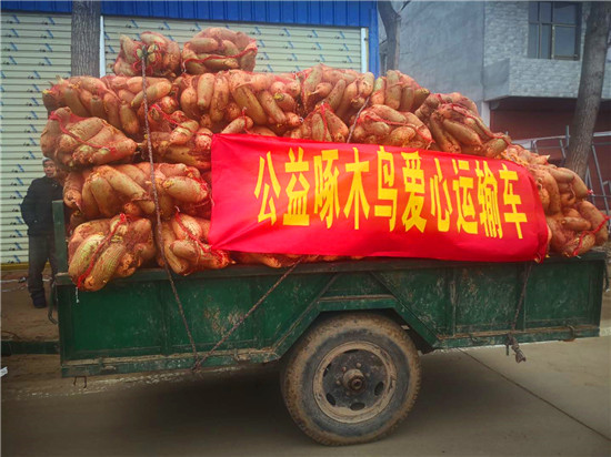 ＂愛心蘿卜＂來了！