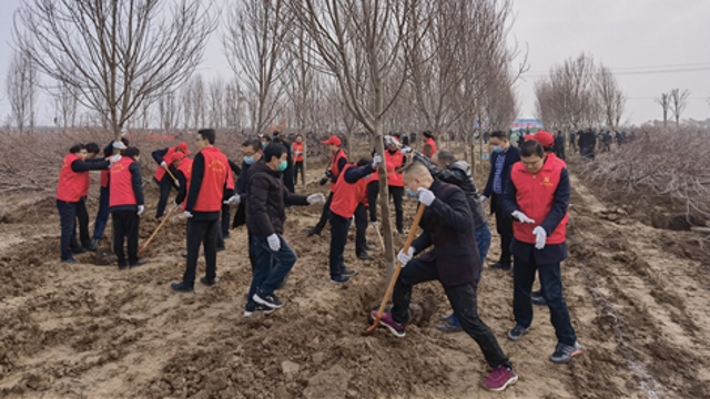 栽下樹苗，留下新綠